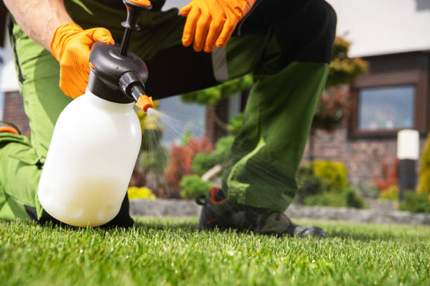 Best Bed Bug Extermination  in Beresford, SD