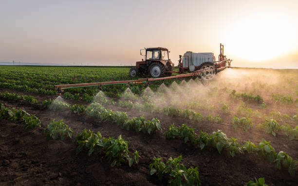 Best Local Pest Control Services  in Beresford, SD