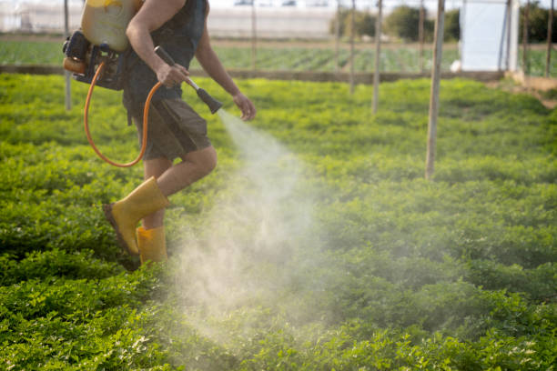 Best Wildlife Control Services  in Beresford, SD