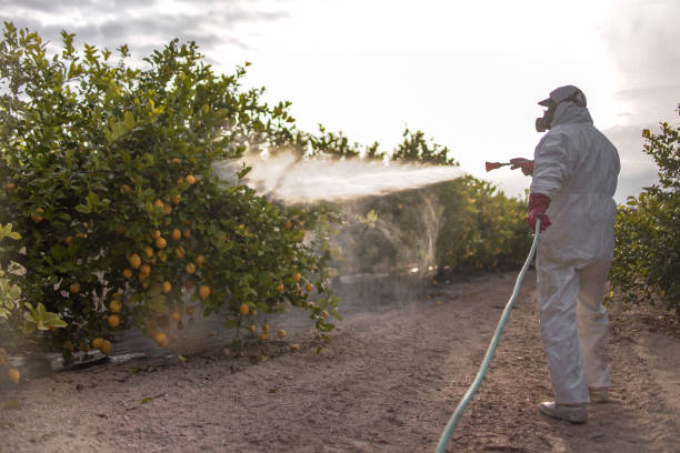 Best Wildlife Control Services  in Beresford, SD