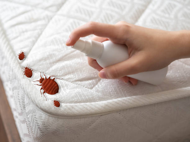 Best Best Pest Control Companies  in Beresford, SD